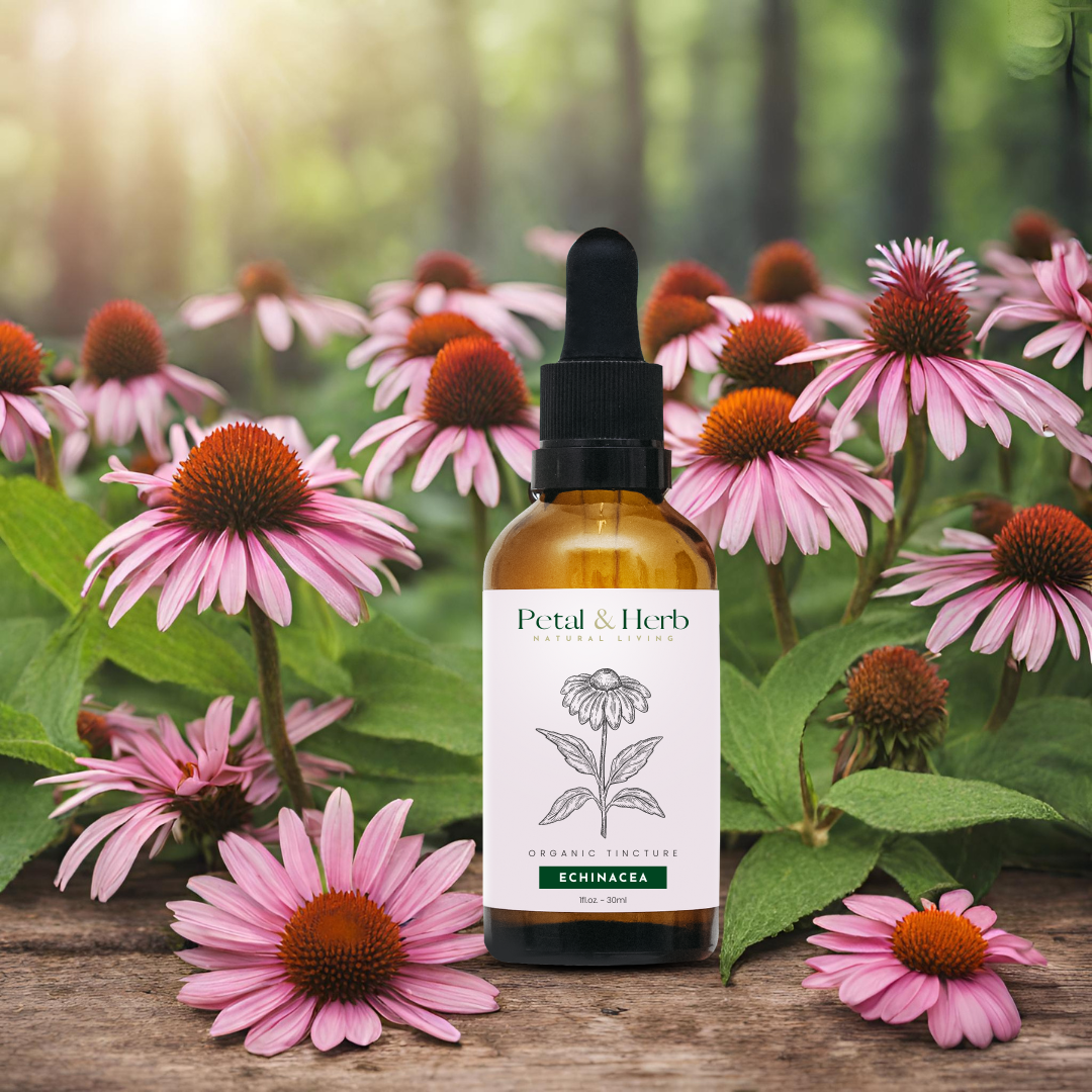 Tincture - Organic Enchinacea