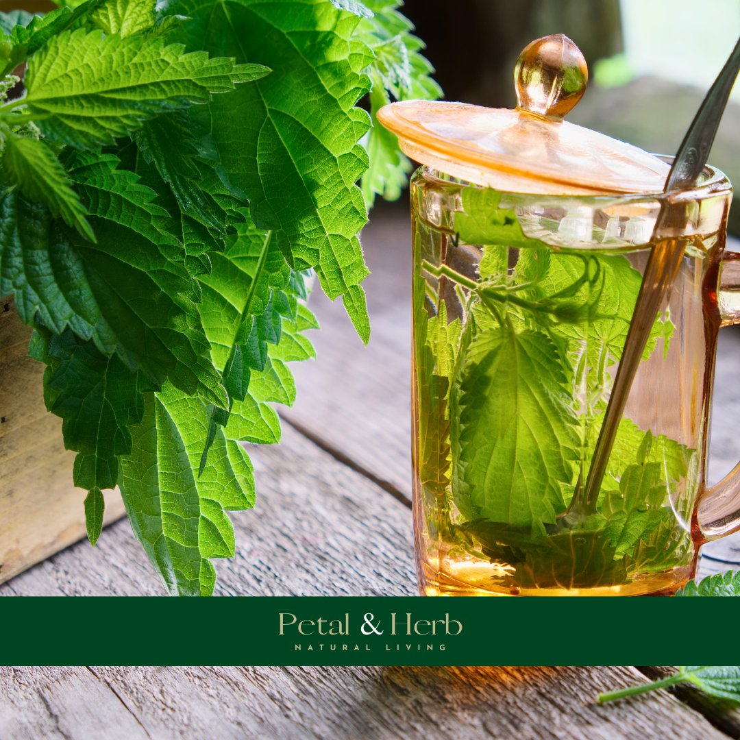 Organic Loose Leaf Nettle Tea (100g)
